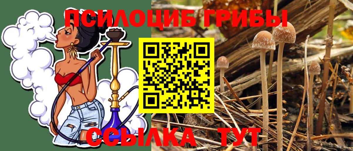 Псилоцибиновые грибы MAGIC MUSHROOMS Ефремов