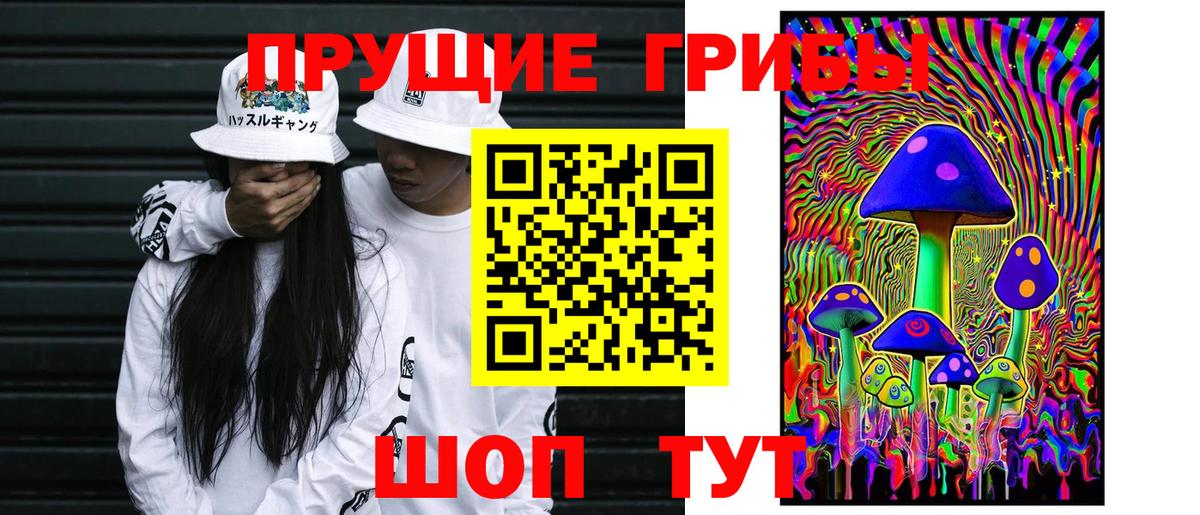 Псилоцибиновые грибы прущие грибы  Псилоцибиновые грибы мухоморы  Вход с VPN  Ефремов 